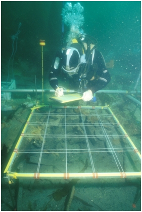 Figure 32: An archaeologist using a drawing-grid and plumbing-device on the Duart Point wreck. Archaeological features under water require assessment by appropriately qualified archaeologists who can dive, ©Colin Martin.