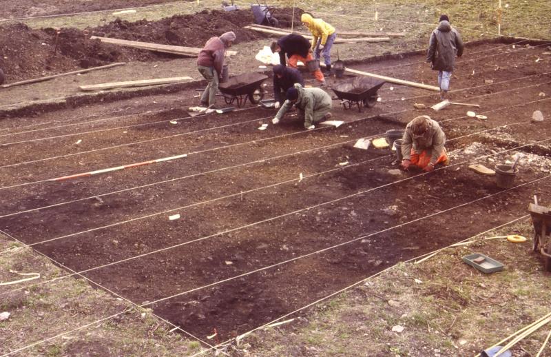 A photograph of an excavation showing archaeologists trowelling in a linear grid marked with string