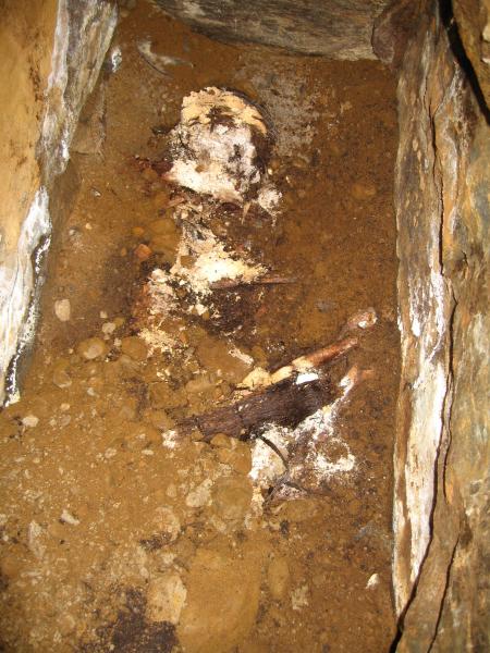A photograph of a stone lined cist burial showing a skeleton in a crouched position with fragments of woven wicker visible in areas