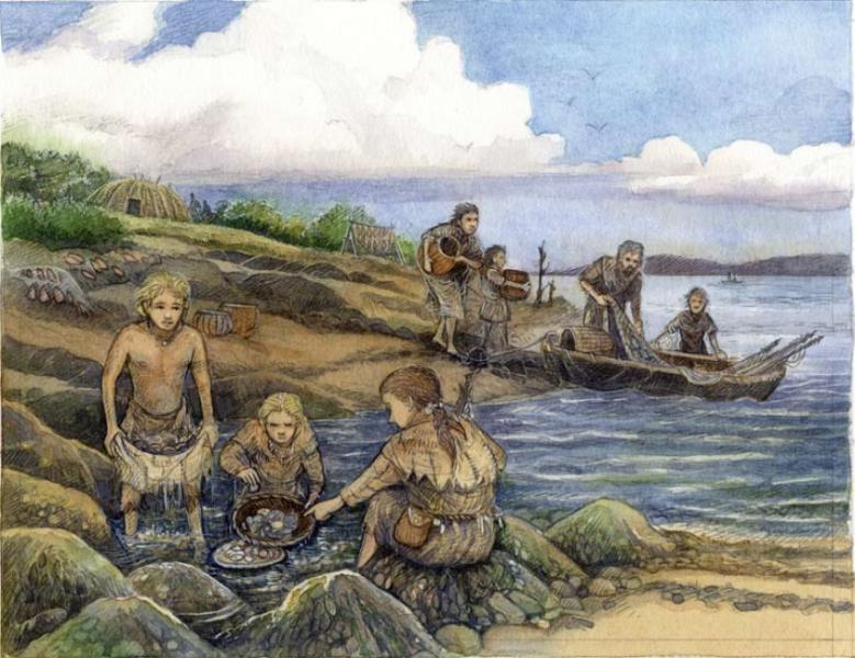 A reconstruction drawing showing people gathering shellfish at the waters edge and a group in the background with baskets, nets and a log boat