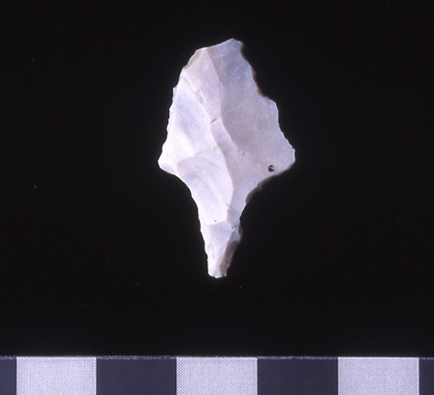 A photograph of single white flint point with a tang