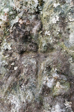 A colour photo of a close up of a small incised cross on a lichen covered stone