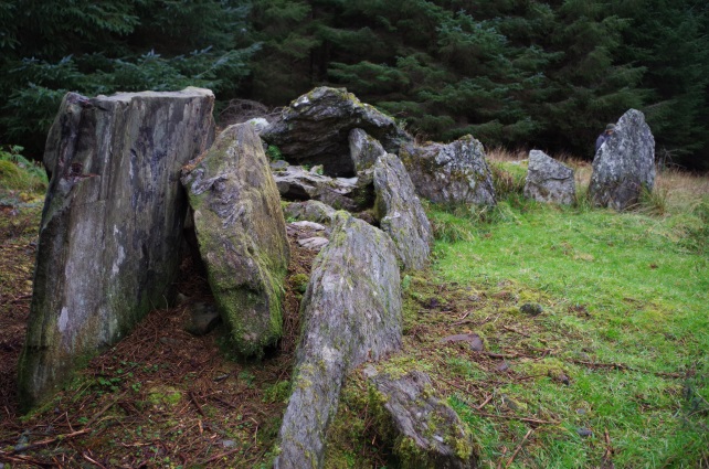 A colour photo of a variety of sizes of flat stones, standing upright or slanted against each other. They form a chambered cairn.