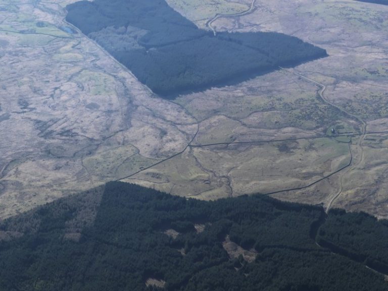 An oblique aerial photograph showing the remains of a linear earthwork in a wider area of upland pasture and woodland