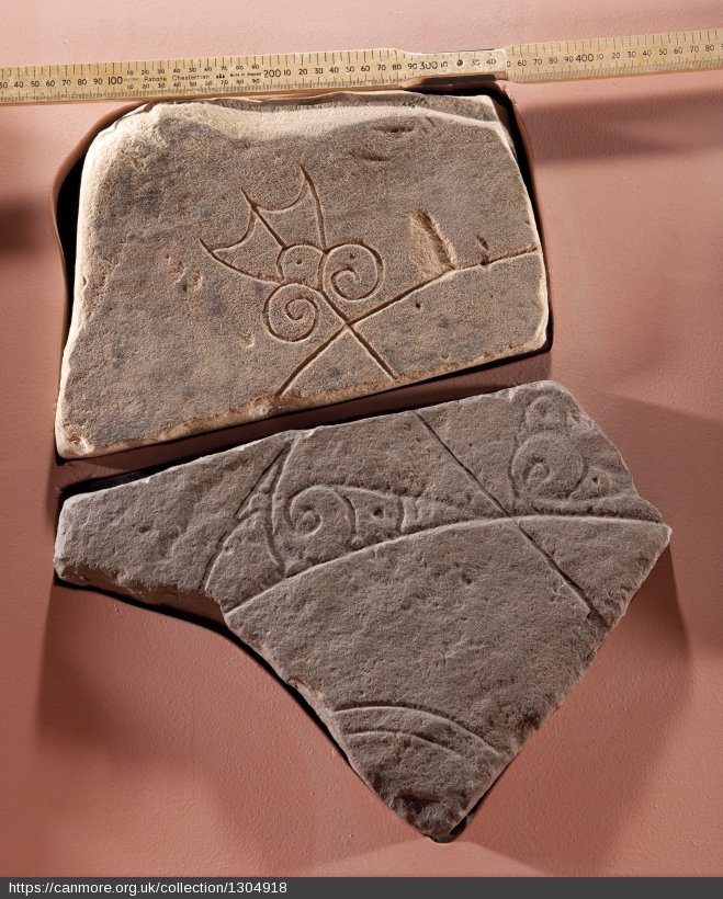 Two fragments showing a crescent and V-rod motif.