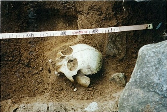 Skull in situ with a measuring tape just above it.