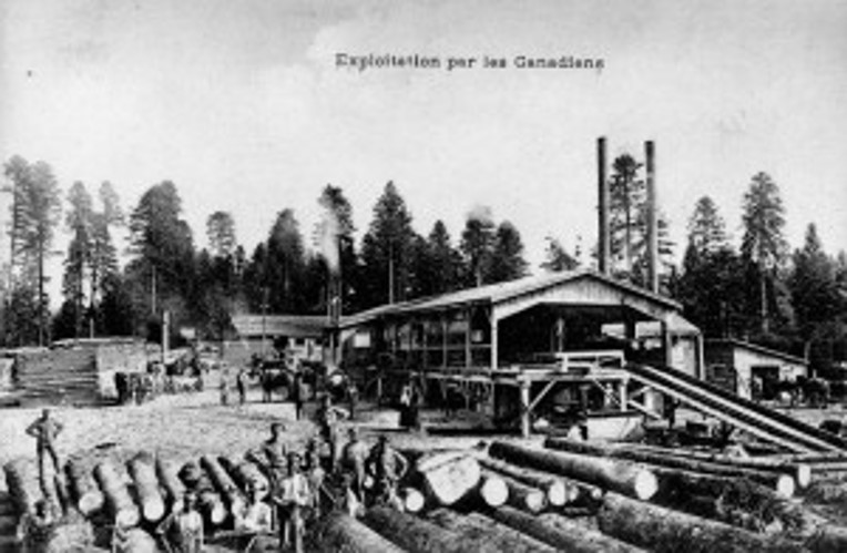 Old photo of logs piled up in front of the sawmill.