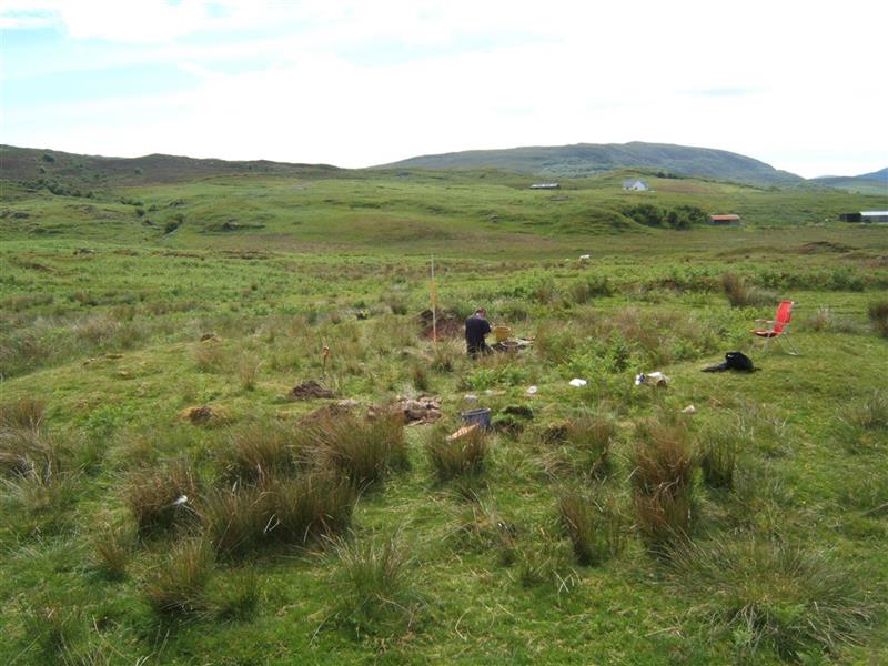 Archaeologist excavating within a round impression in a field. 