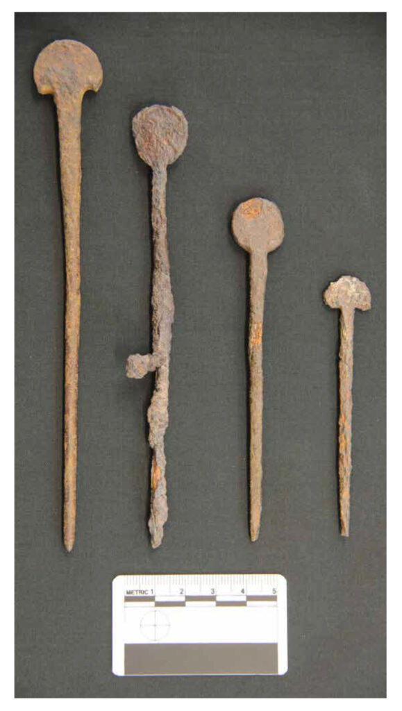 Image showing four rusted iron pins alligned in a parrallel row, from largest to smallest, against a dark grey background. The largest pin has a crescent shaped head and a long, pointed shaft. The second pin is the most heavily rusted, with an uneven incusion on its shaft. The second and third pins both have circular heads. The smallest pin has a crescent shaped head and pointed shaft. The pins are all dark orange to brown in colour due to the rust, with the second pin being the darkest. 