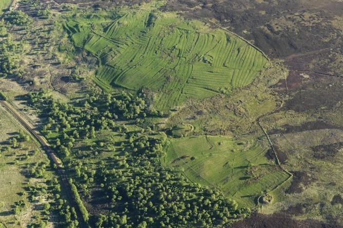 An oblique aerial photograph of a green landscape, with field systems, forest and peatland separating the frame by vertical thirds. The field systems, in the central third of the frame, has circular cropmarks spread across the area. The fields and peatland, to the right, are separated by a wall or enclosure. 