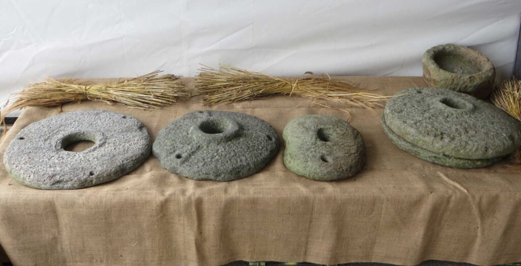 Picture of four querns and a stone bowl on a rectangular table which is covered in a brown linen tablecloth with three bunches of hay to the top and right of the table. The four querns are all varying shades of grey, and are different sizes, although all are of the same shape (circular discs with a round hole in the centre. 