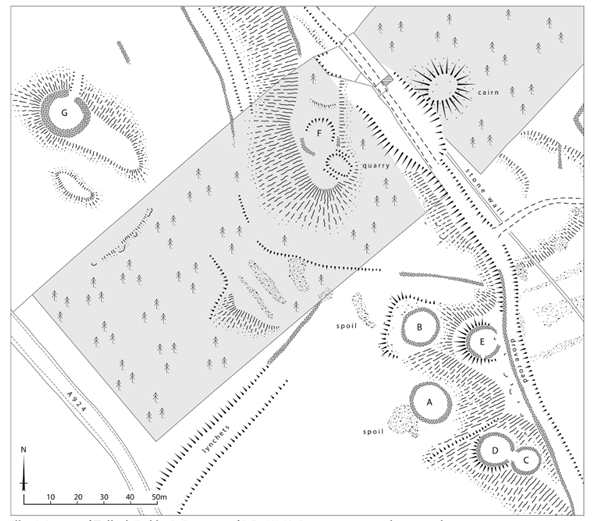 Birdseye plan of features recognised during an aerial survey, drawn in greyscale. A rectangular forest cuts diagonally across the plan, and grey circles with hashed lines represent seven different features, lettered A to G. 