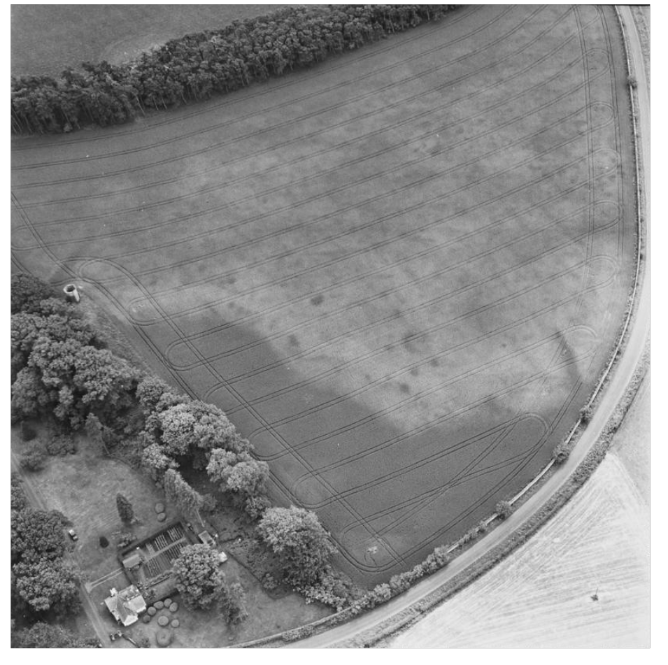 Black and white aerial image showing cropmarks in white against the grey farmland. The cropmarks are dense and look like a large building. 