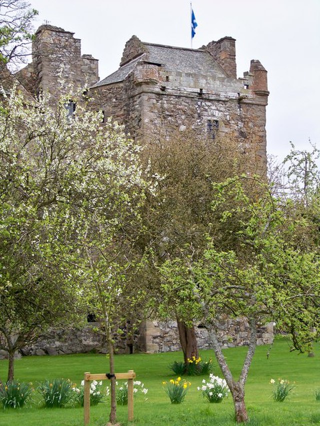 Image of a castle seen through flowering trees, which are supported by wooden frames. 