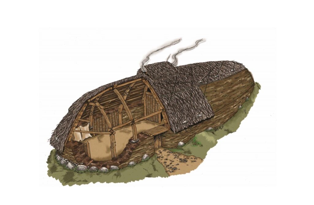 Coloured drawing of a long structure with curved ends and a wattle roof. The drawing show the inside of the building on one side, which has wooden pillars and is sloped towards  the end. 