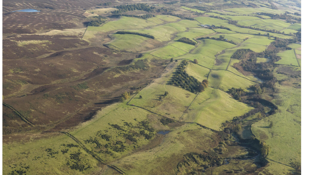 Oblique aerial photograph of green farmland, with the long rows of bumps and valleys making the rig and furrow pattern. 