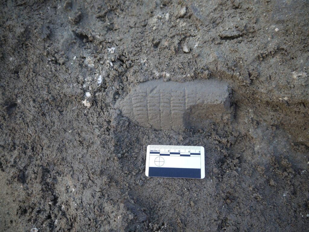 Excavation photo of a piece of carved stone protruding from the trench. The stone appears oblong in shape, with line carvings across it. 