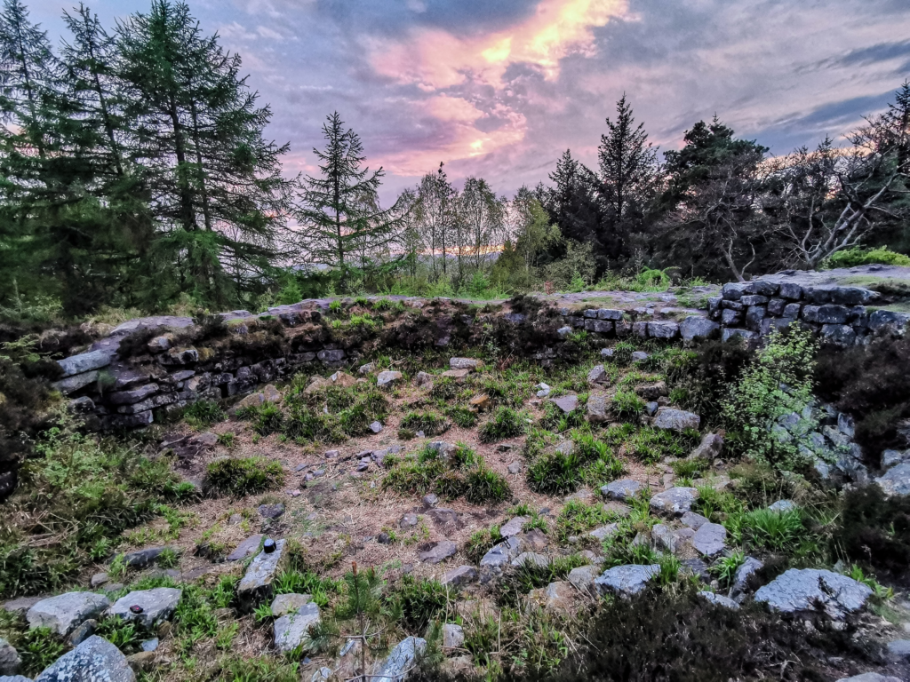 Landscape image looking over the inside of a low broch wall, separating the moss and stone-covered internal area of the broch and the forest outside the broch. The sky is pink, purple and blue, creating a pink hue across the image. 