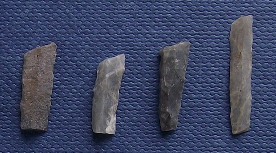 close up image of four sub-rectangular, grey stones on a padded blue surface. although they are all the same shape, they are different shades of grey, textures and differ in overall size. 