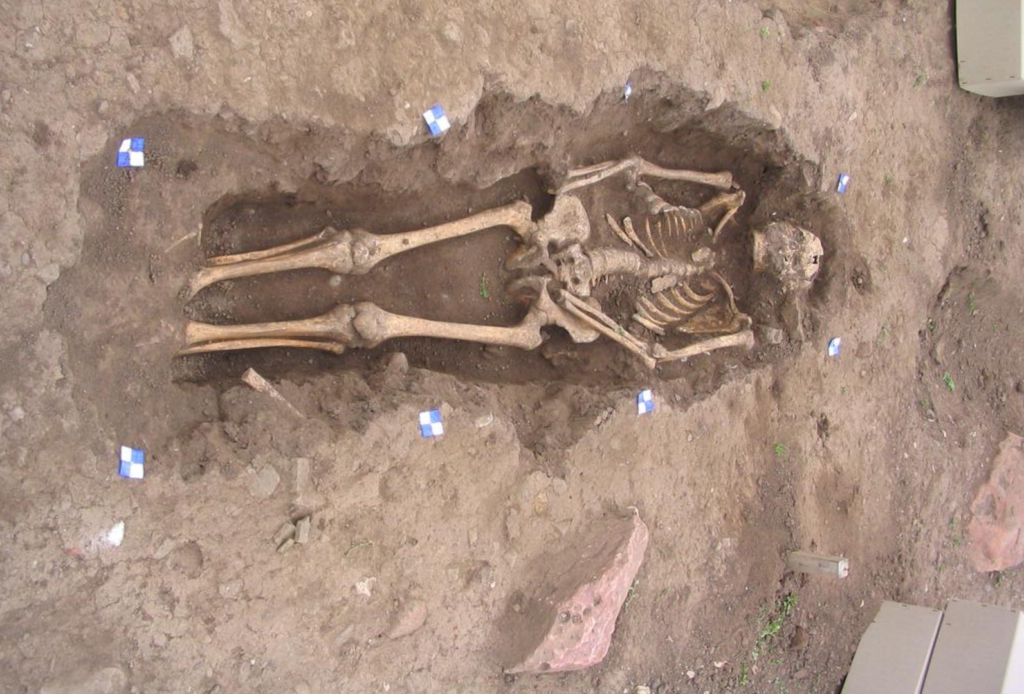 Photograph of an excavated skeleton