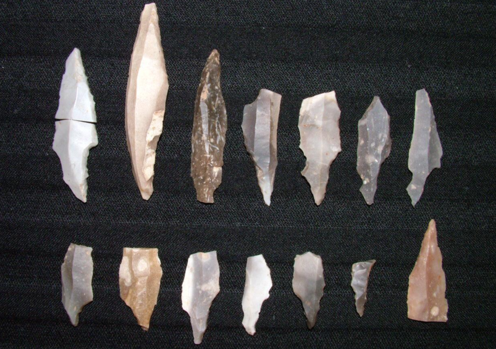 Photograph of 14 stone lithics on a black background. 