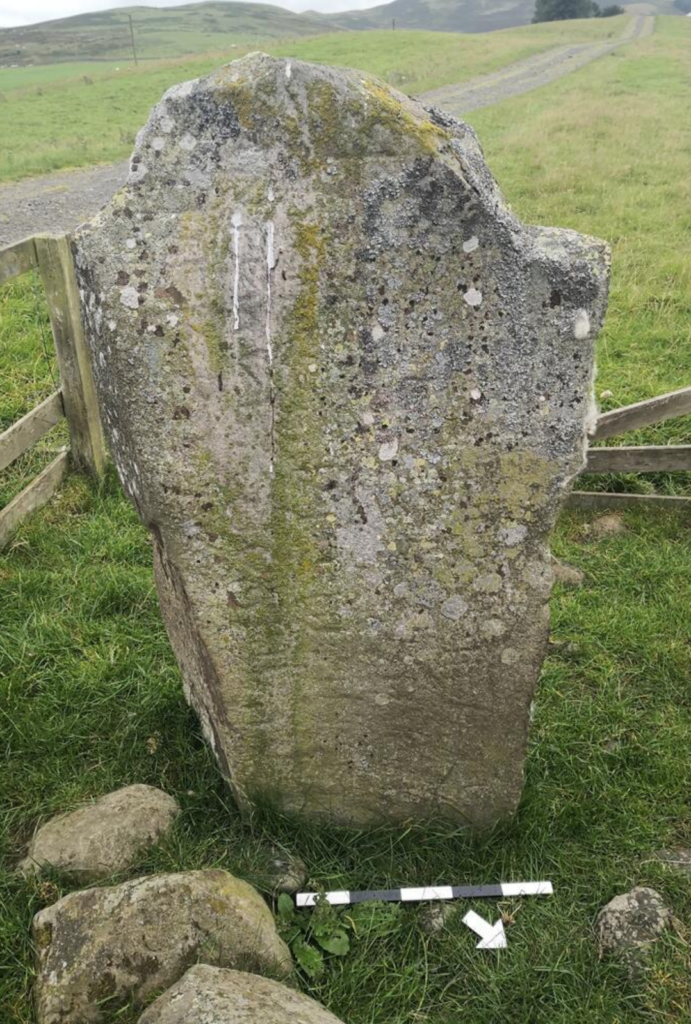 Photograph of a standing stone in the grass,