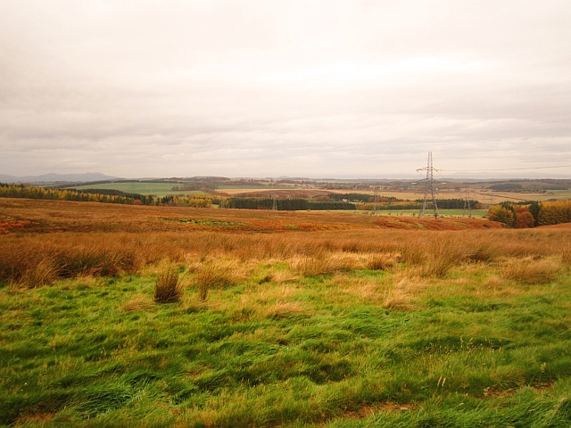 A photograph showing the varying colours of the grassy landscape of Fala Moor. The grass in the foreground is green, with the grasses in the background being various shades of orange, yellow and red.