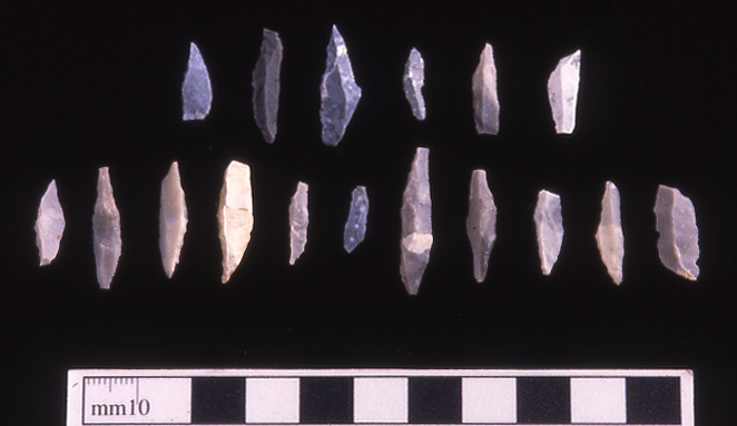 Photograph of 17 small lithics on a black background. 