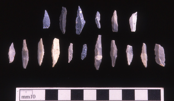 3 5 1 5 Lithic Material And The Later Mesolithic The Scottish 