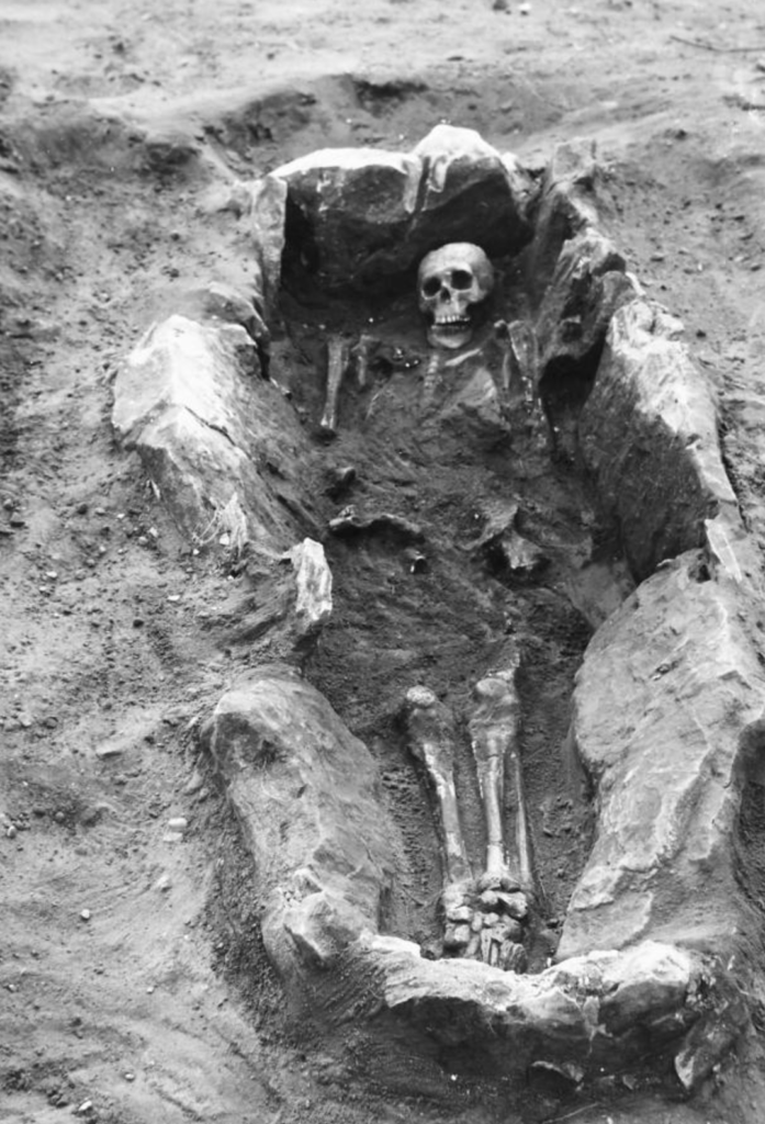 Black and white photograph of an excavated skeleton in a grave