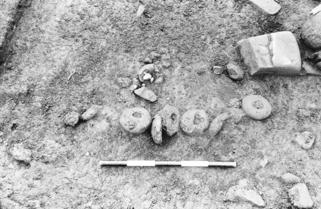 Black and white photograph showing round stone loom weights in the ground of an excavation site