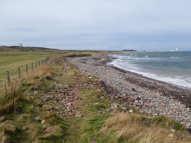 photograph of the coast of a stone beach