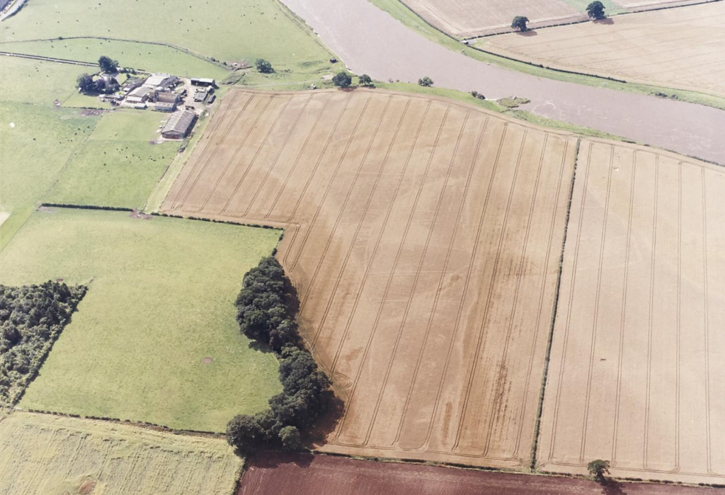 Aerial photograph of farmland