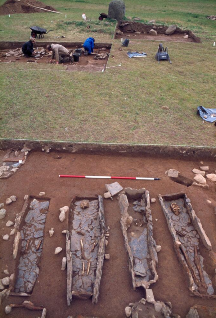 Photograph of excavations of a burial site. In the foreground, there are four graves, two of which have skeletal remains. At a separate excavation spot in the background, three people can be seen digging. 