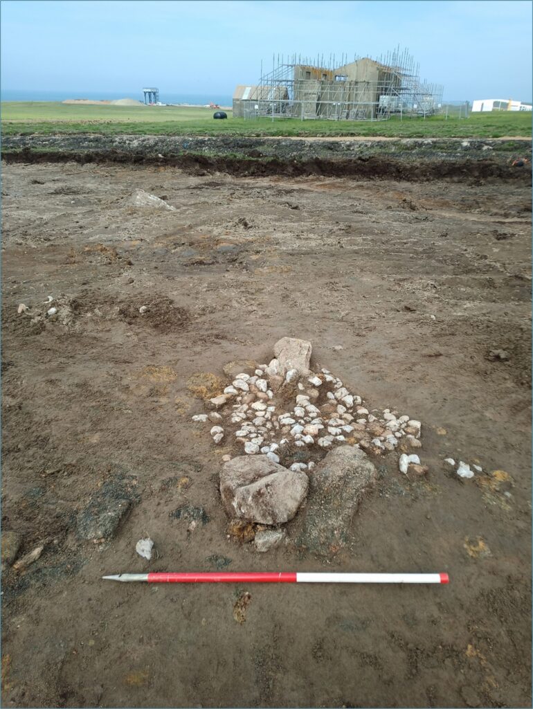 Photograph of a an open excavation trench focussed on a small pile of small, white pebbles, with four larger, grey boulders on the far and near side of the pebbles. In the background, a modern building can be seen under construction, with scaffolding completely surrounding the building. 