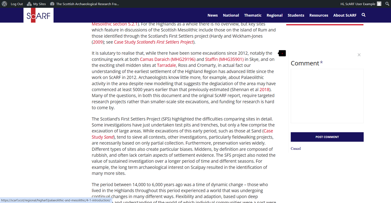 Screenshot showing the comment box which will appear when you click the add comment button.