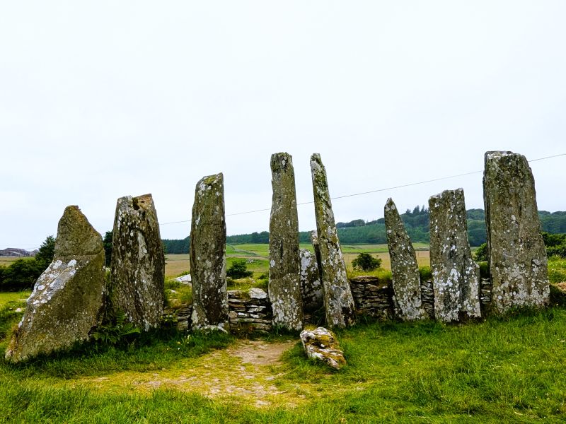 SWSARF events – register now!