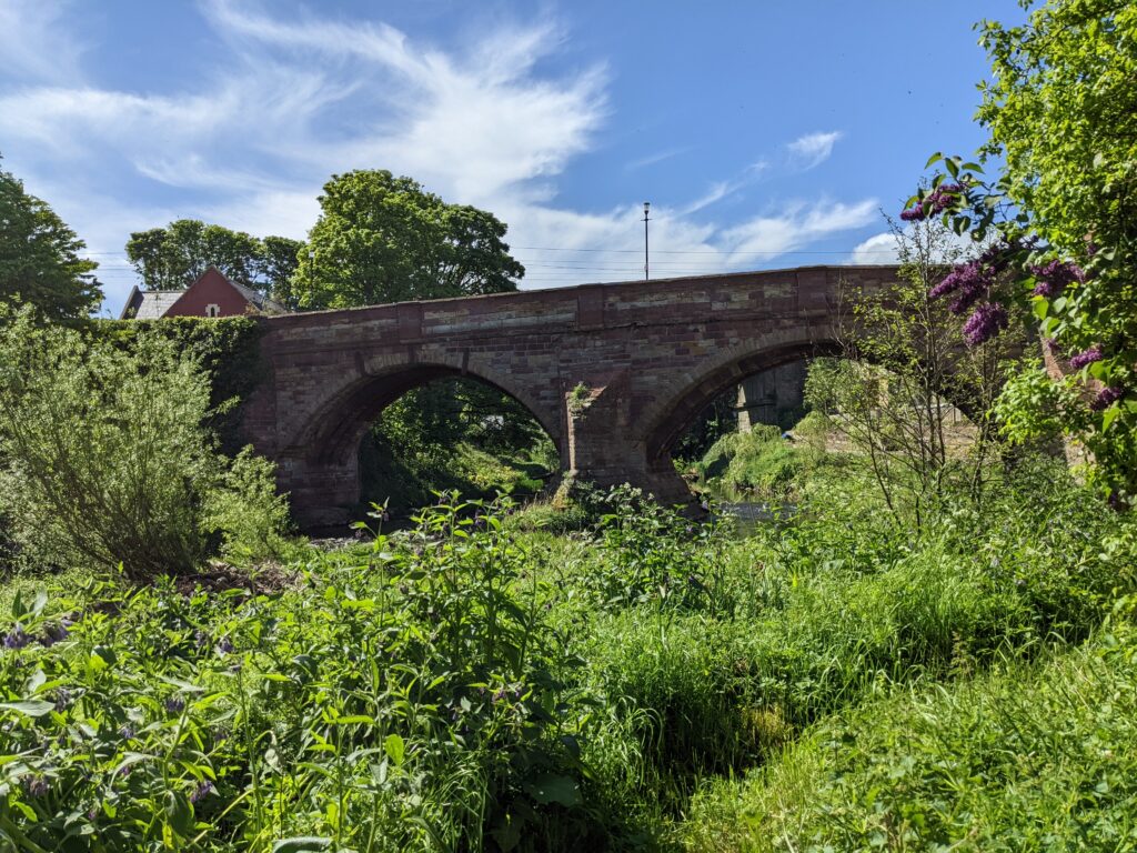 Stone bridge with two arches surrounded by foliage