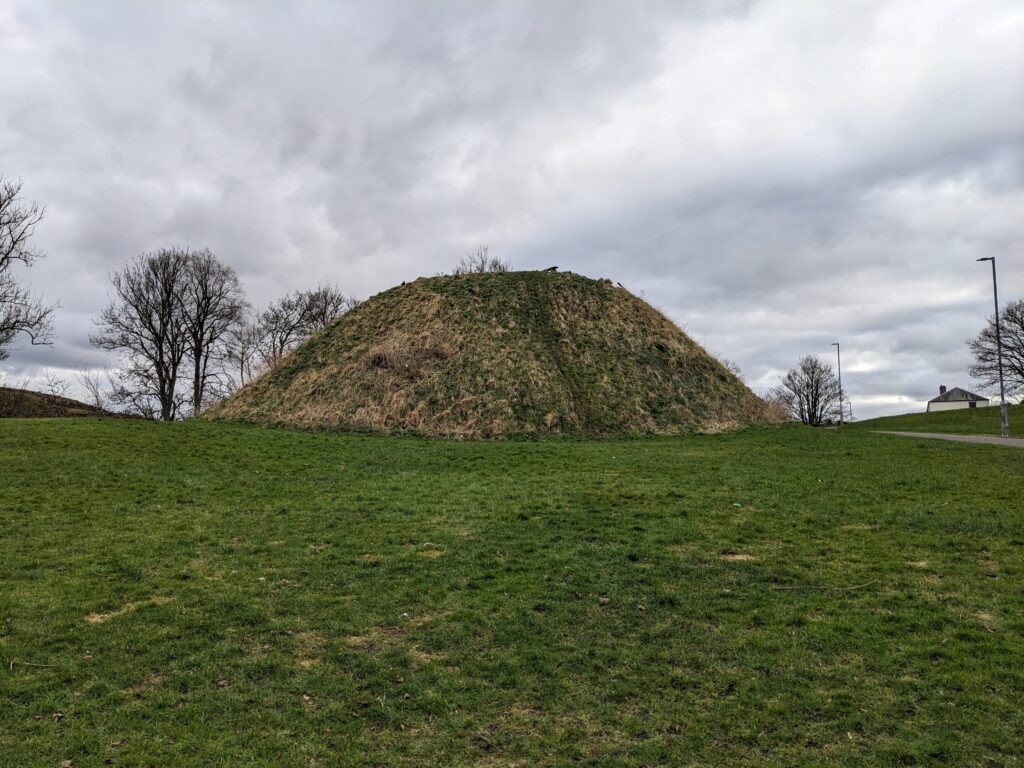 grass mound in a grassy field
