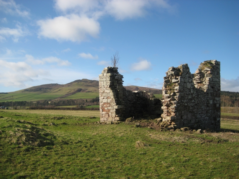 ScARF newsletter – November 2025