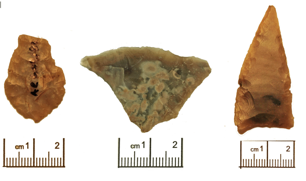 Three flints on white background with scale