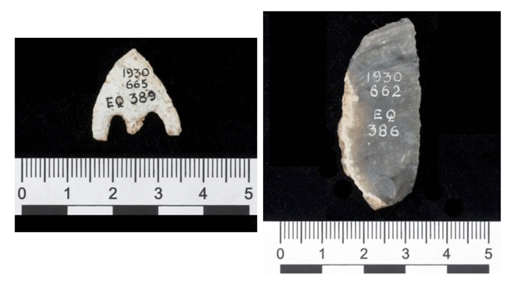 Photograph of flints against black ground