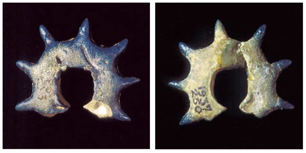 photograph of front and back of bead side by side against black background