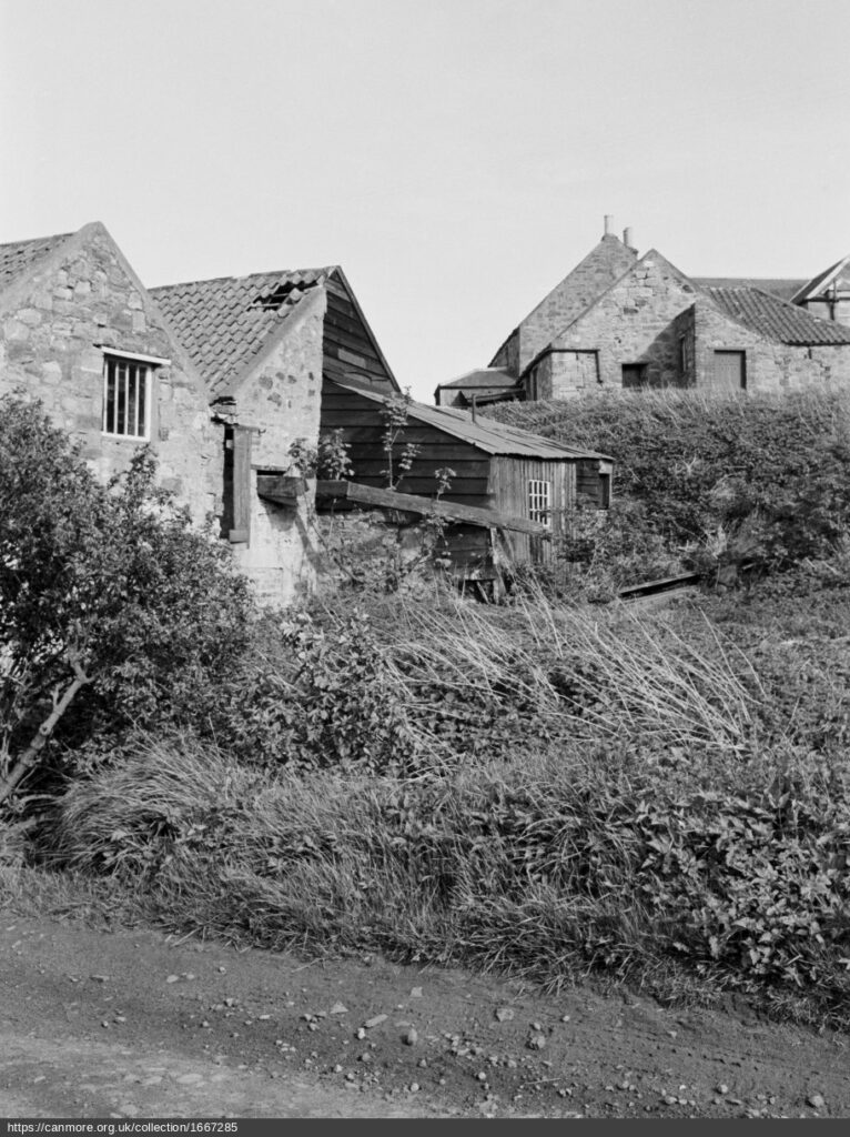 black and white photograph of buildings amongst hedges