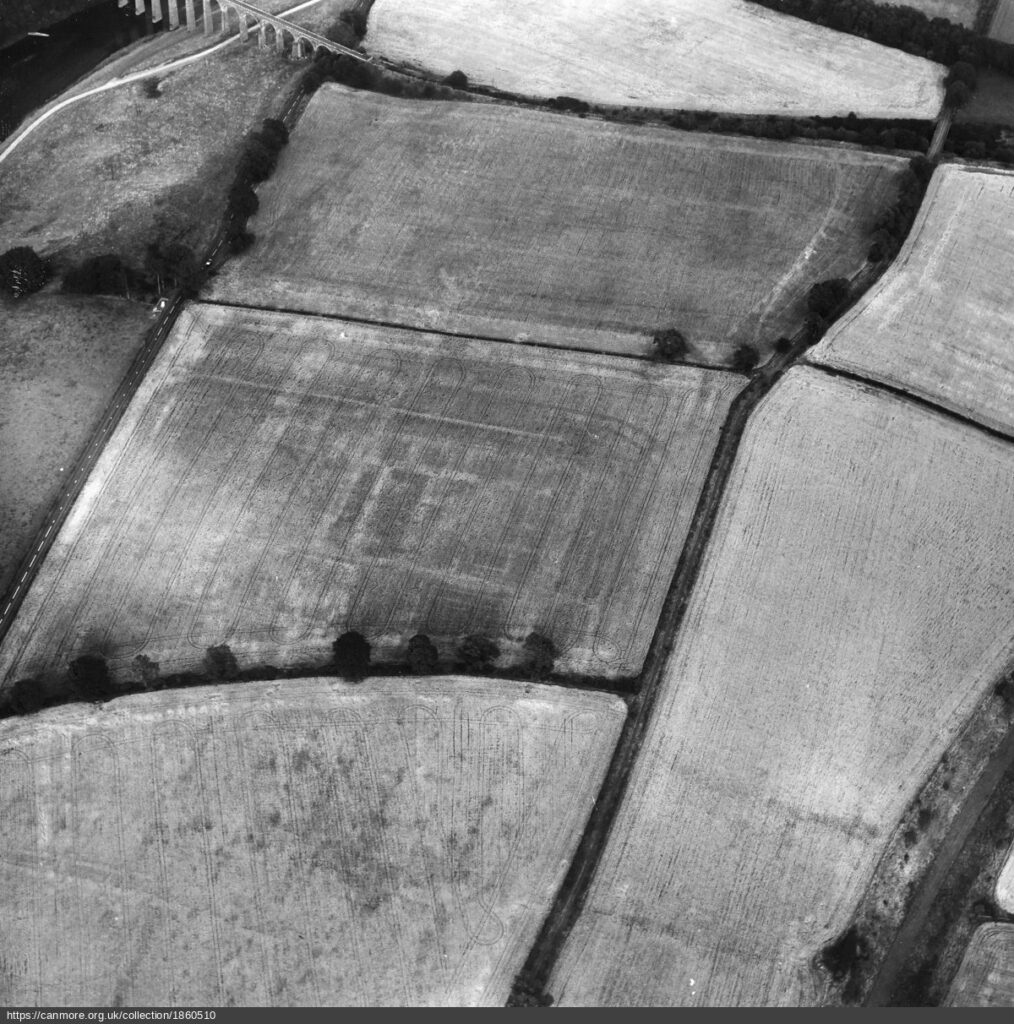 aerial view of field systems and crop marks, in black and white