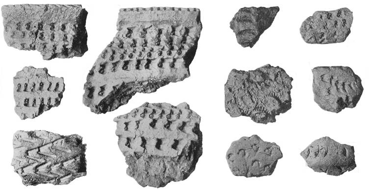 11 sherds of pottery with impressions
