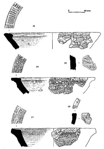 drawings of pot sherds and profiles