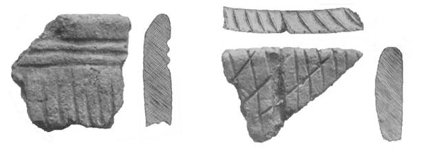 front, side and inner view of pottery sherds
