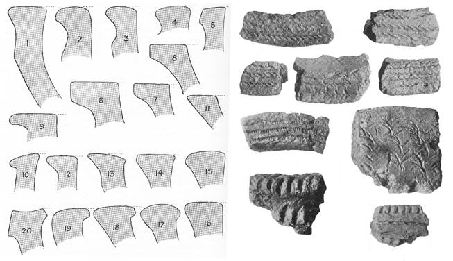 on the right are profile drawings of 20 rim sherds and on the right, are photos of details on rim sherds