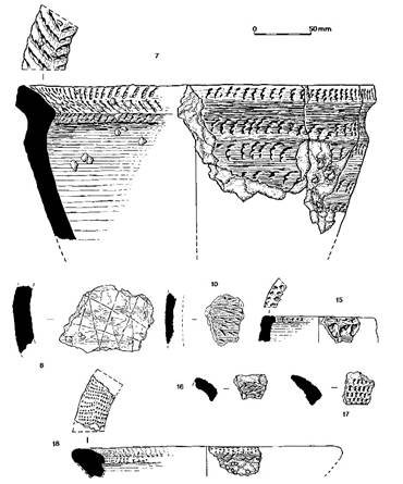 drawings of pot sherds and profiles